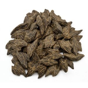 Bois Oud Tigre